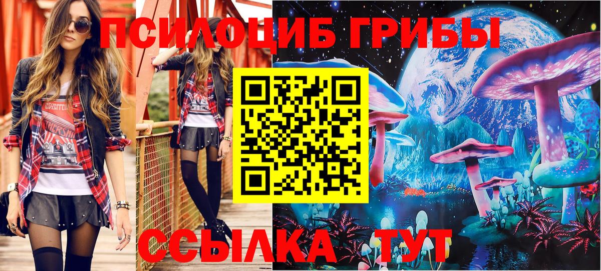 Галлюциногенные грибы Psilocybine cubensis  Вход с VPN  купить наркотики цена  Кубинка 