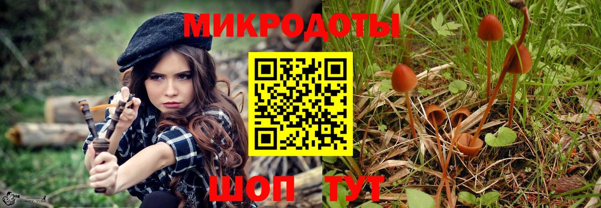 Галлюциногенные грибы MAGIC MUSHROOMS Кубинка